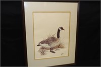Framed Picture of a Goose Entitled "The Sentinel"