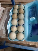 12 Fertile F2 Olive Egger Eggs
