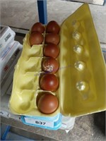 8 Fertile Black Copper Maran Eggs