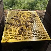 4pk Queen Bee Excluder for 8 Frame Hives 19.9x15.9