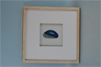 Framed Blue Agate Slice  Wall Art