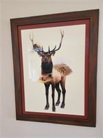 Elk Framed Picture