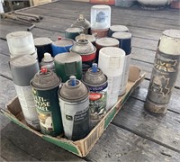 Spray Paint and Garage Chemicals
