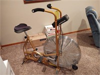 Schwinn Exercise Bike and Gold's Gym Exercise Ball