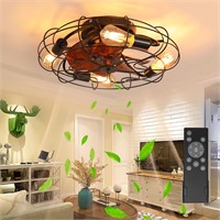 VTYXCTIGJ 20" Ceiling Fans With Lights and Remote,