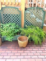 Pair of Planters with Trellis & More