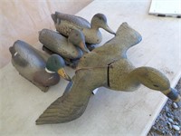 DUCK DECOYS