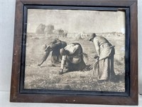 Women in fields picking