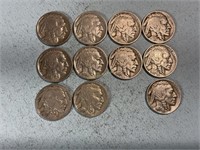 Eleven 1935 Buffalo nickels