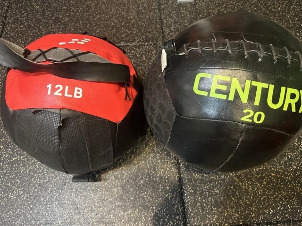 Lot Of (2) Weighted Therapy Balls