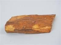 Piece of Petrified Wood