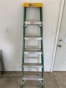 Davidson 6ft Ladder