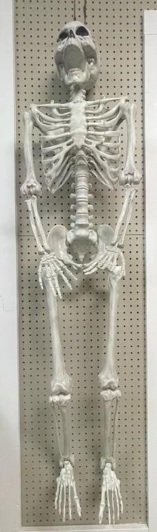 "Life size" 5’ plastic skeleton. Eyes light up.