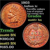 1903 Indian 1c Grades GEM+ Unc BN