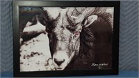 limited edition ram print 21 in by 15 in number