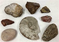 Stone and Fossil Collection