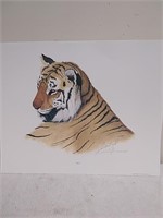 3 Barbara keel artist proof tiger