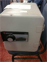 Sentry safe with password