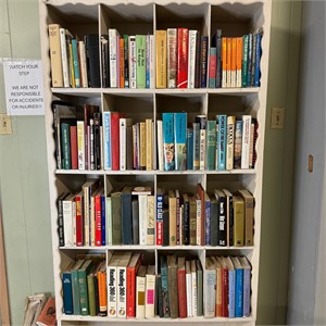 All the books on the shelves from lot #135 (TR)