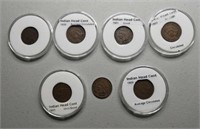 7 Indian Head pennies