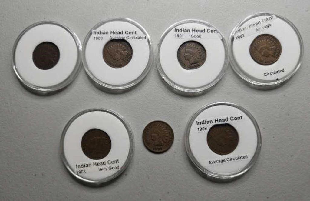 7 Indian Head pennies