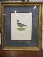 Wild Goose Wall Art