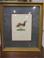 Chinese Duck Wall Art