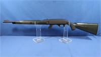 22 Long Rifle, semi w/Clip, Plastic Stock