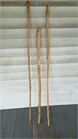 3 Walking Sticks