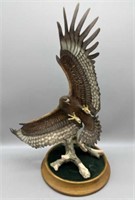 American Glory Eagle