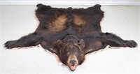 Taxidermy Black Bear Rug, 5'10" x 5'3"