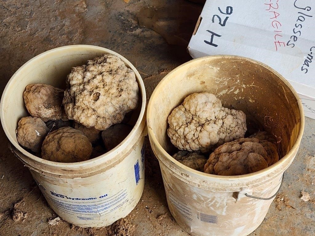 2 Buckets of Geode Rocks