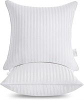 Oubonun 26 x 26 Throw Pillow Inserts  Pack of 2