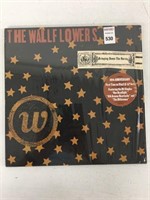 THE WALL FLOWERS RECORDING ALBUM