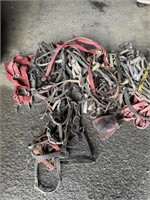 Halters and equine equipment