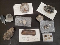 Lot of Assorted Crystals, Fossils, Petrified Wood