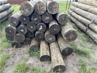 8ft x 7in Wood Posts