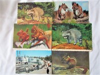13 Vintage Animal Post Cards