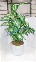 Fake Potted Plant (37")