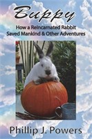 (N) Buppy: How the Reincarnation of a Bunny Rabbit