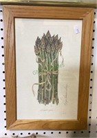 Beautiful framed print of asparagus signed by Gray