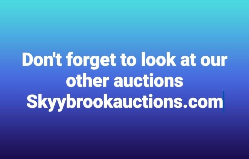 Skyybrook Auctions Website
