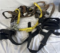 Miller lanyard harness and seat belt