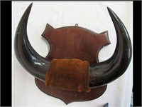 NICE BUFFALO HORN WALL PLAQUE