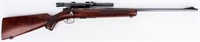 Gun Winchester 75 Bolt Action Rifle in 22LR