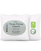 Coop Home Goods Throw Pillows