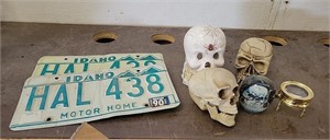 Skull Decor, License  Plates & Magainfier