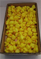 Box of Mini Rubber Ducks