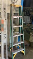 6 Foot Werner Ladder