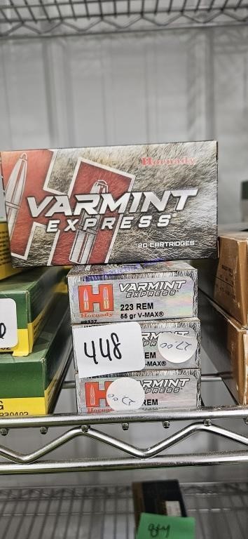 4 Varmint express 223 rem 55 grain
 ONE MONEY